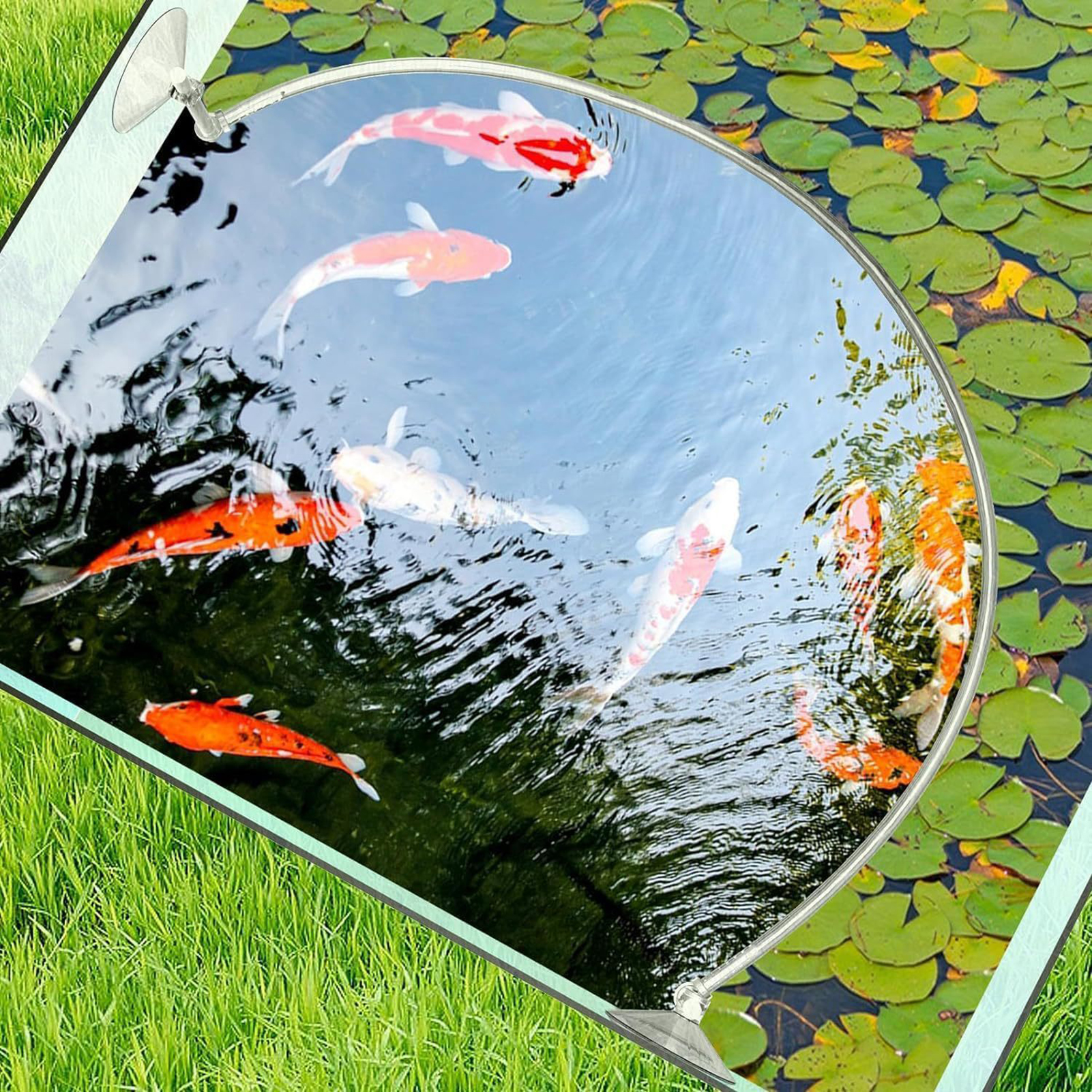 Aquarium Floating Plant Fence  - Home Improvement Fence recensione e prezzo
