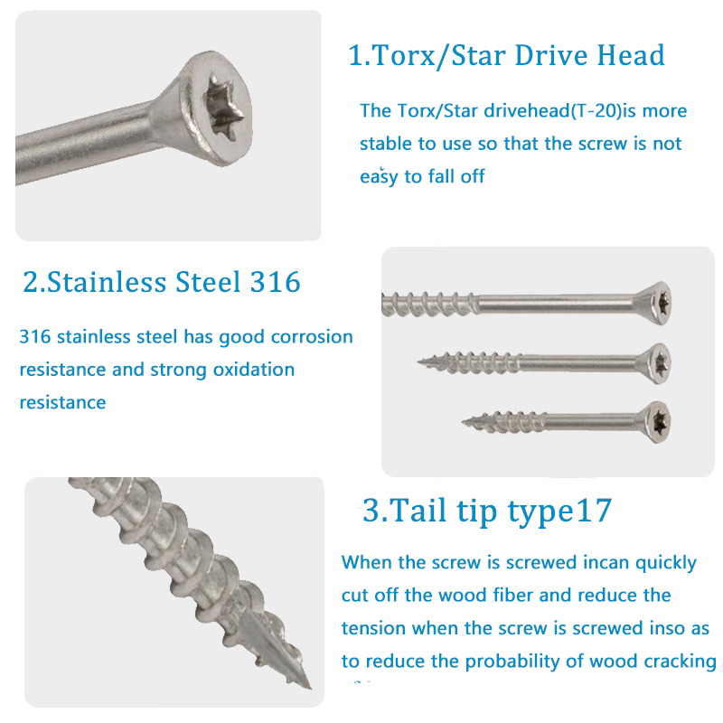 Stainless Steel Torx Wood Scre - Deck Screw Stainless recensione e prezzo