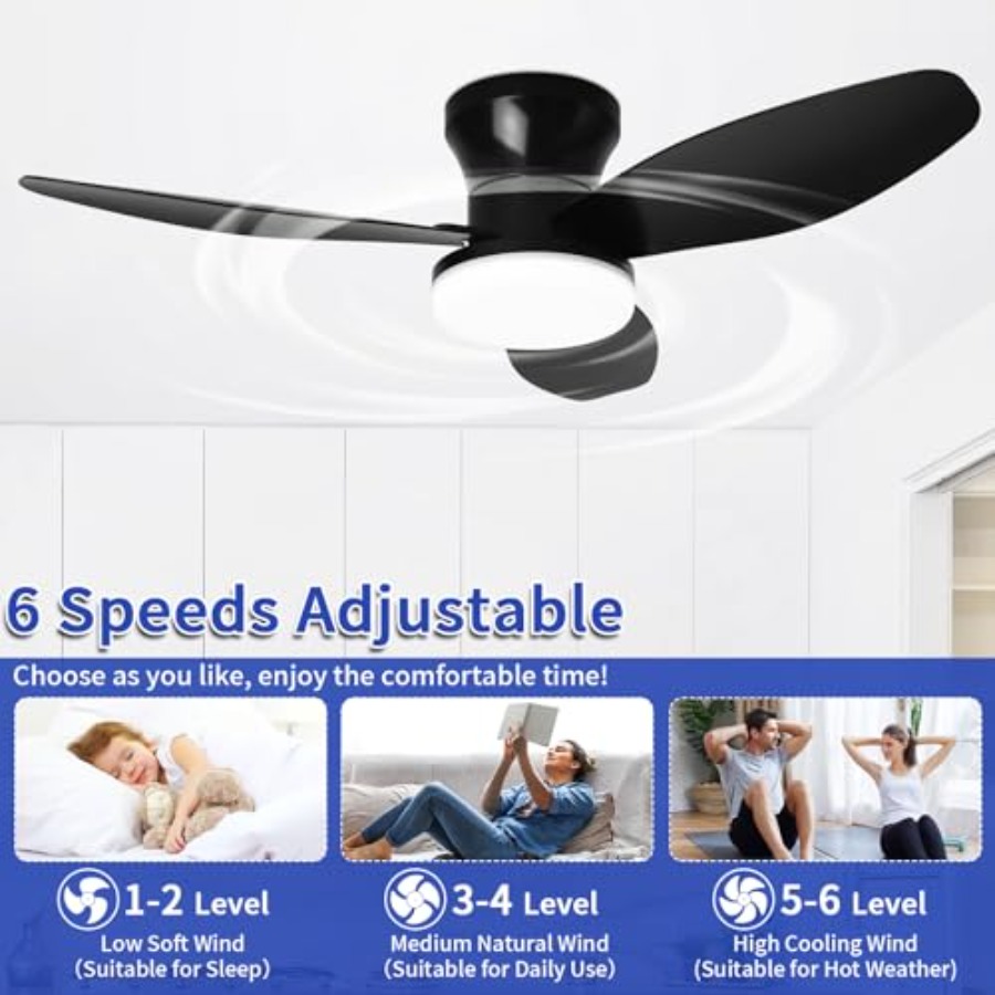 Small Ceiling Fan with Lights  - Ceiling Fan Mount recensione e prezzo