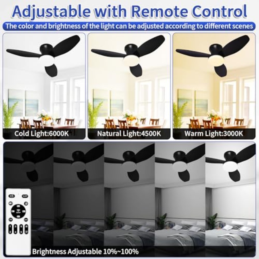 Small Ceiling Fan with Lights  - Ceiling Fan Mount recensione e prezzo