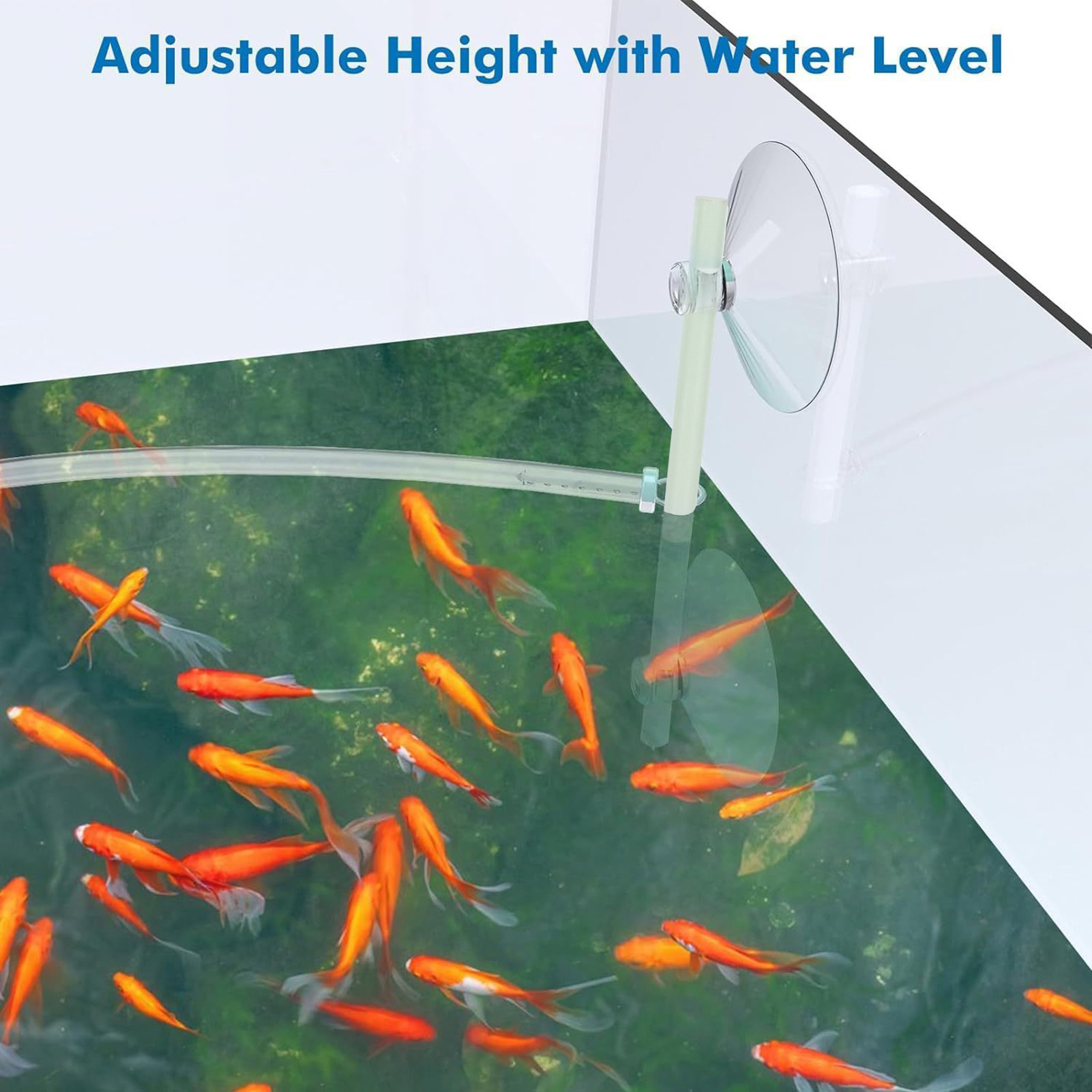 Floating Plant Fence for Fish  - Home Improvement Fence recensione e prezzo