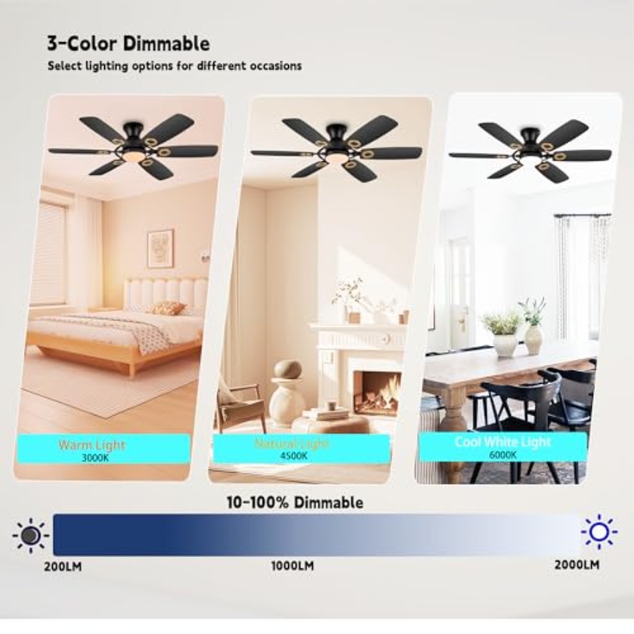 Ceiling Fans with Lights, Blac - Ceiling Fan Mount recensione e prezzo